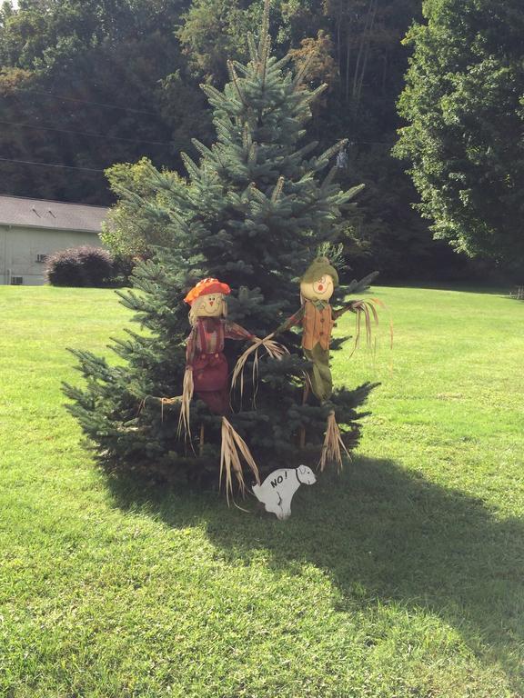 Cardinal Inn Maggie Valley Εξωτερικό φωτογραφία